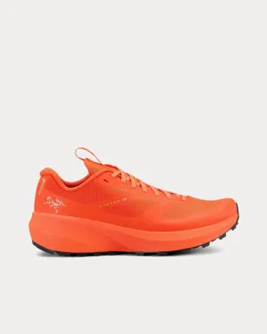 Norvan LD 3 GTX Solaris / Solaris Running Shoes