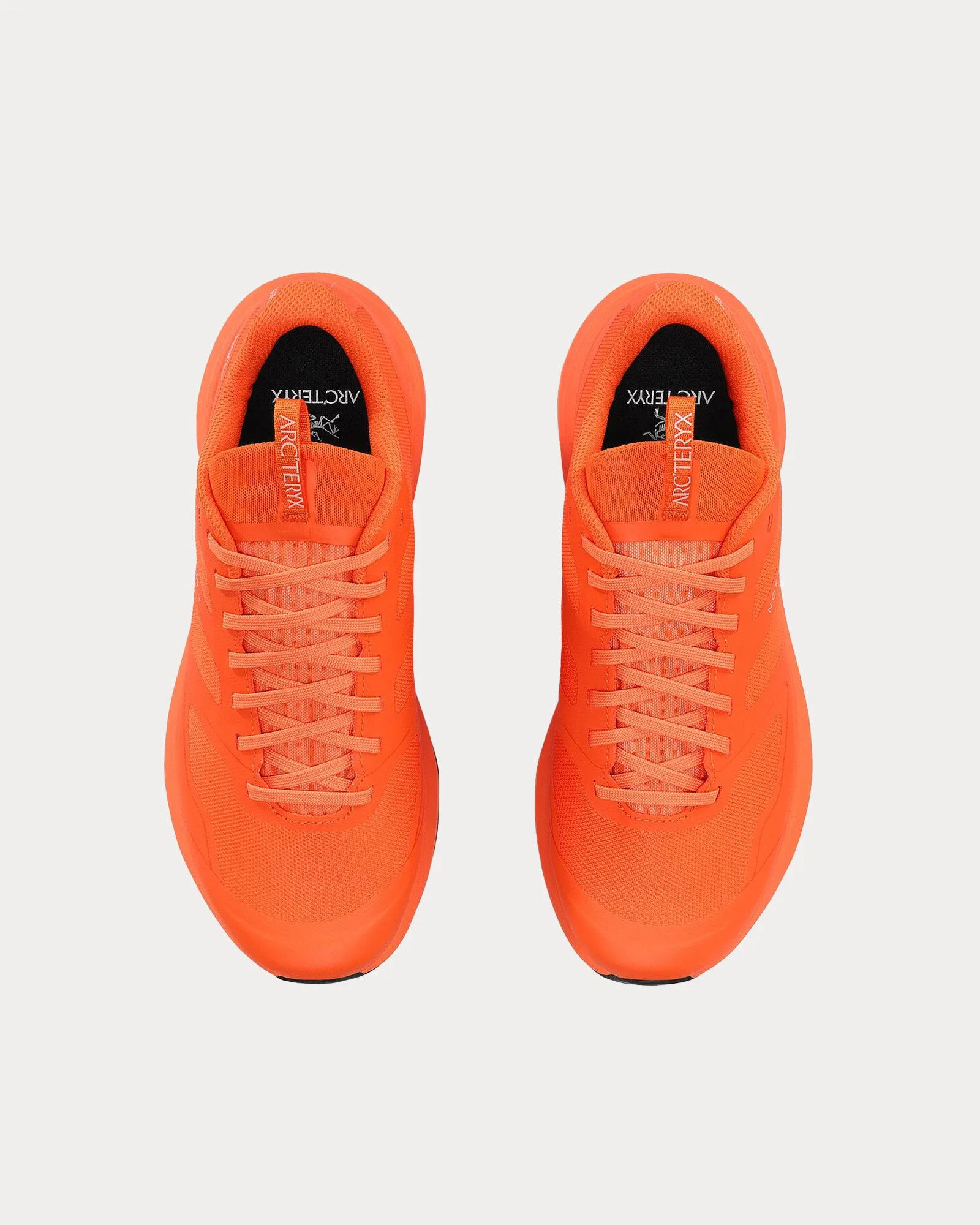 Norvan LD 3 GTX Solaris / Solaris Running Shoes